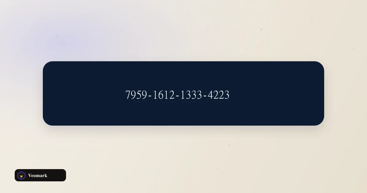 API Key Format Validator (Per Provider Pattern) visual